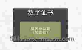 这样也许能更直观地理解HTTPS为什么安全