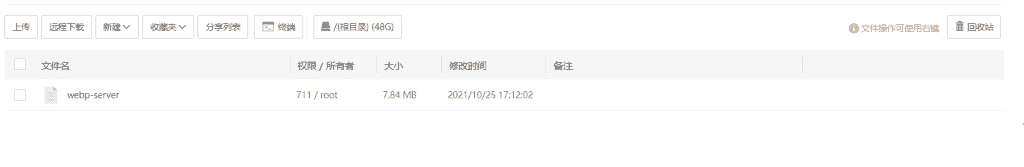 无缝将网站上所有图片自动转换为 WebP 格式