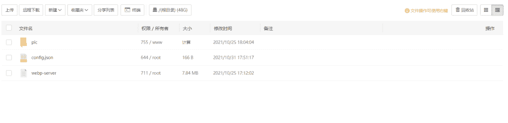 无缝将网站上所有图片自动转换为 WebP 格式
