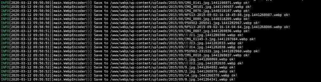 无缝将网站上所有图片自动转换为 WebP 格式