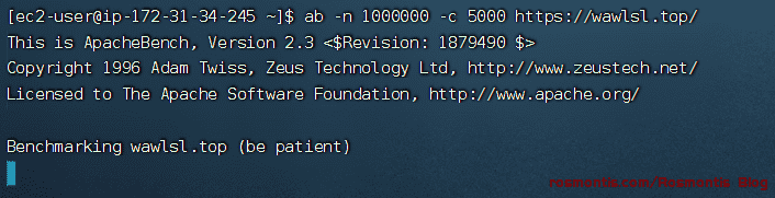 Linux压力测试工具Apache Bench的安装和使用